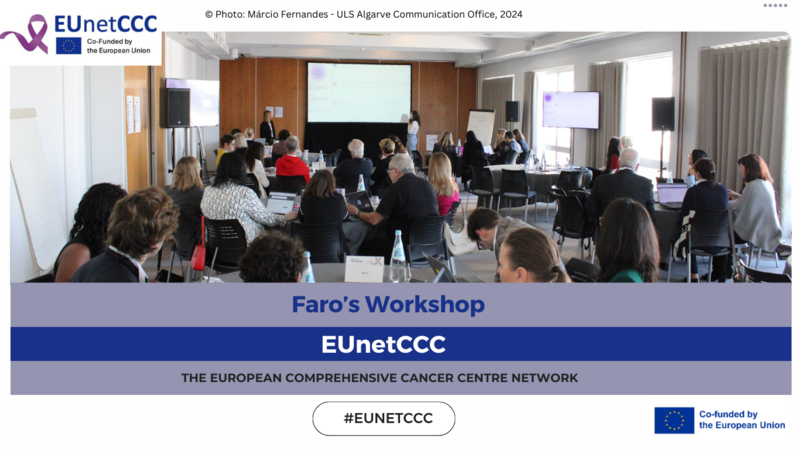 EUnetCCC Faro’s Workshop: Envisioning the project’s future together