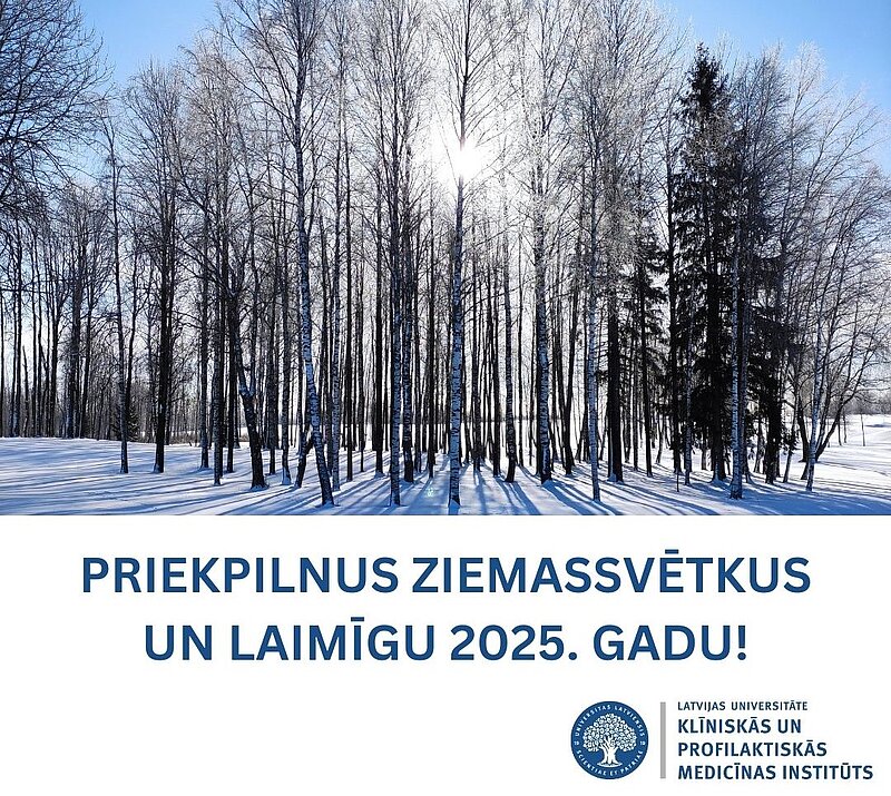 Priekpilnus Ziemassvētkus un Laimīgu 2025. gadu!